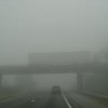 foggy2.